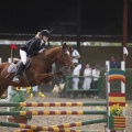 Poni club