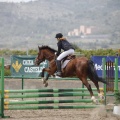 Poni club