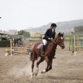 Poni club