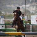 Poni club