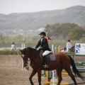 Poni club
