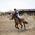 Poni club