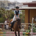 Poni club