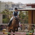 Poni club