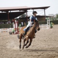 Poni club