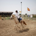 Poni club