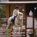 Poni club