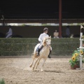 Poni club