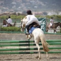 Poni club
