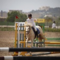 Poni club
