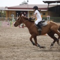 Poni club