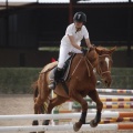 Poni club