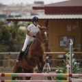 Poni club