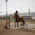 Poni club