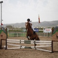 Poni club
