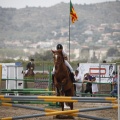 Poni club