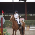 Poni club