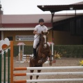 Poni club