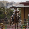 Poni club