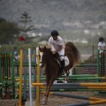 Poni club
