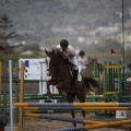 Poni club