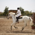 Poni club