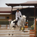 Poni club