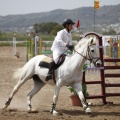 Poni club