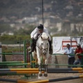 Poni club