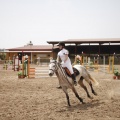 Poni club