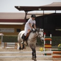 Poni club