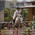 Poni club