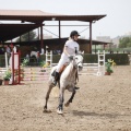 Poni club
