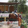 Poni club