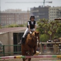 Poni club