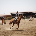 Poni club