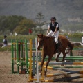Poni club