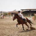 Poni club