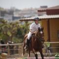 Poni club