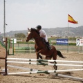 Poni club