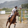 Poni club