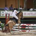 Poni club