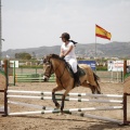Poni club