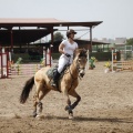Poni club
