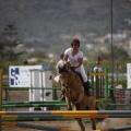 Poni club