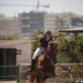 Poni club
