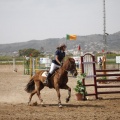 Poni club