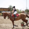 Poni club