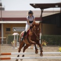Poni club
