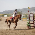Poni club